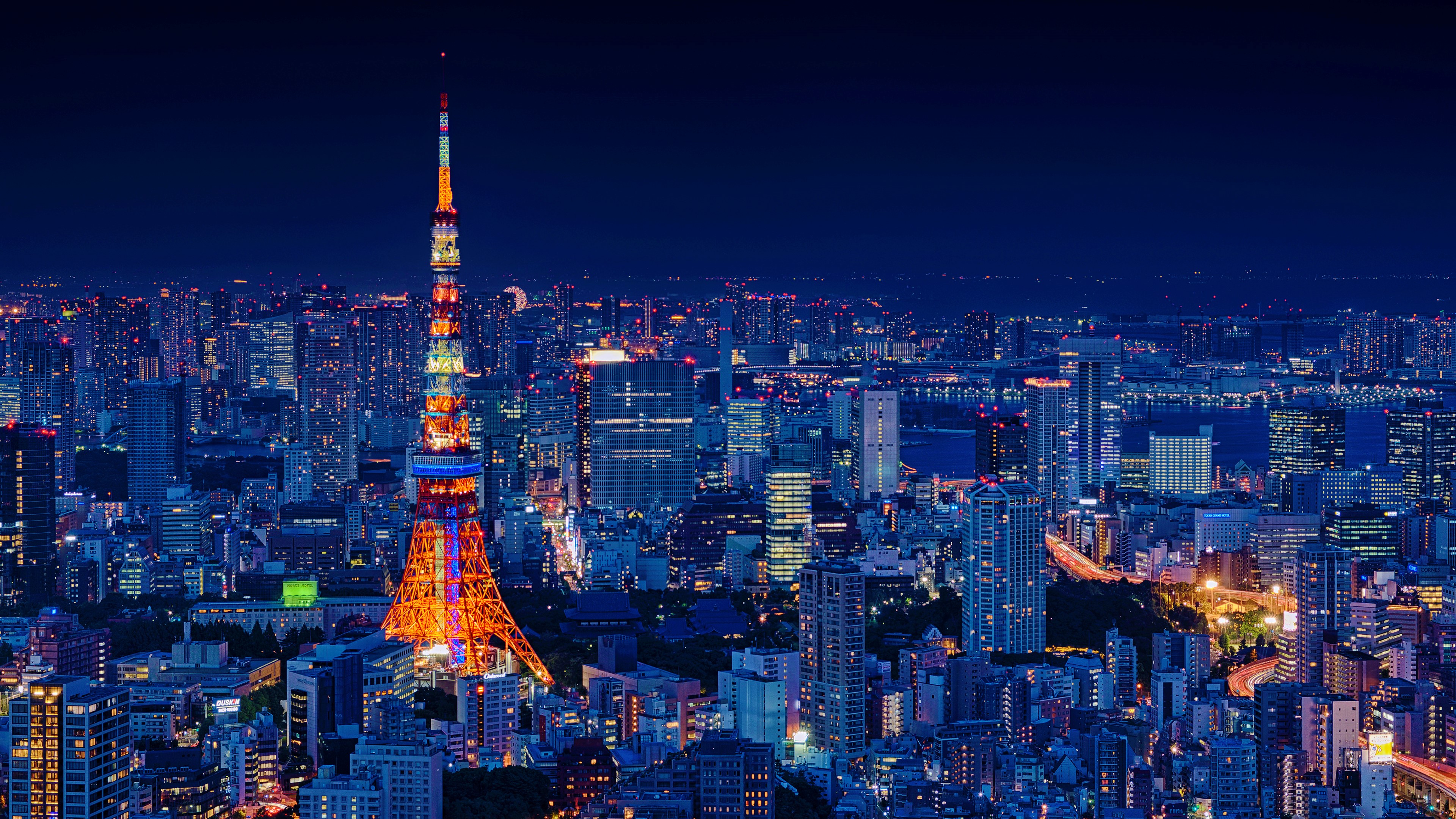 Tokyo Night View